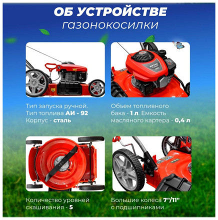 Газонокосилка бензиновая Eco LG-810 (EC1507-3) Газонокосилка бензиновая Eco LG-810 (EC1507-3)