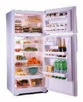 Встраиваемый холодильник General Electric GTG16HBMSS