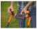 Газонокосилка BLACK+DECKER BEMW451BH
