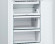 Двухкамерный холодильник Bosch Bosch KGN36NWEA