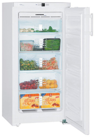 Морозильник Liebherr GN 1913