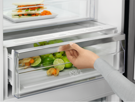 Холодильник Electrolux RNC7ME34W2 Холодильник Electrolux RNC7ME34W2