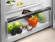Холодильник ELECTROLUX LXB1SE11W0 Холодильник ELECTROLUX LXB1SE11W0