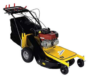 Газонокосилка Eurosystems Professionale 67 Electric starter Газонокосилка Eurosystems Professionale 67 Electric starter