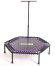 Батут BaseFit TR-401 101 см фиолетовый