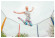 Каркасный батут Sundays Acrobat 430 см - 14ft с сеткой 435х435х253 см Каркасный батут Sundays Acrobat 430 см - 14ft с сеткой 435х435х253 см