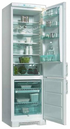 Холодильник Electrolux ERB 4109