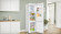 Холодильник BOSCH KGN397WCT Холодильник BOSCH KGN397WCT