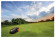 Газонокосилка Worx Landroid M WG796E.1