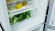 Холодильник HOTPOINT-ARISTON HT 5181I W Холодильник HOTPOINT-ARISTON HT 5181I W