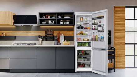 Холодильник HOTPOINT-ARISTON HT 6200 W