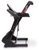 Беговая дорожка Titanium Masters Physiotech THF