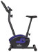 Вертикальный велотренажер ROYAL FITNESS RF-10 (RFIB-10) Вертикальный велотренажер ROYAL FITNESS RF-10 (RFIB-10)