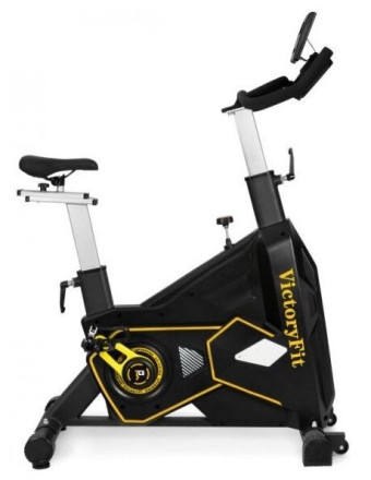 VictoryFit VF-GymRider 225