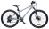 Подростковый горный (MTB) велосипед SHULZ Bubble Super Race