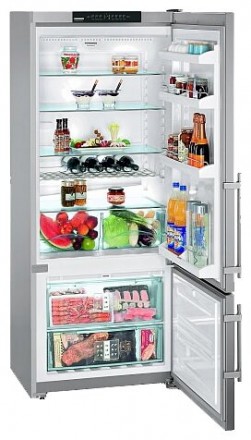 Холодильник Liebherr CNPes 4613