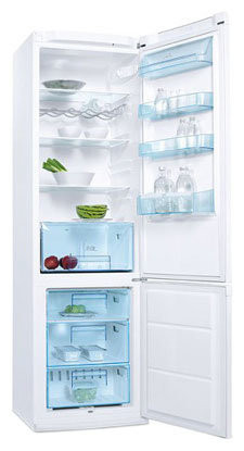 Холодильник Electrolux ERB 40301 Холодильник Electrolux ERB 40301