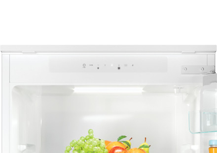 Встраиваемый холодильник Candy CBL 3518FRU Встраиваемый холодильник Candy CBL 3518FRU