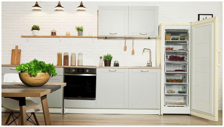 Морозильная камера INDESIT DSZ 5175 E Морозильная камера INDESIT DSZ 5175 E