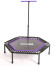 Батут BaseFit TR-401 112 см фиолетовый Батут BaseFit TR-401 112 см фиолетовый
