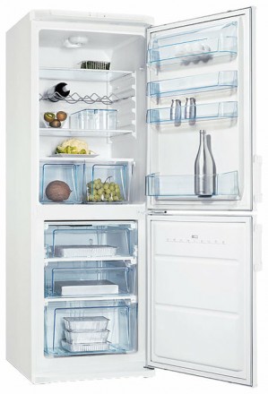 Холодильник Electrolux ERB 30091 W