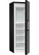Морозильная камера Gorenje FN619EABK6 Морозильная камера Gorenje FN619EABK6