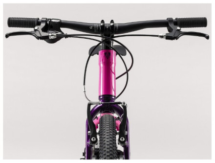 Подростковый горный гибрид TREK Wahoo 20 (2020)