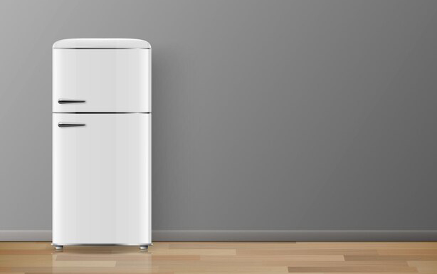 отдельностоящий двухкамерный холодильник